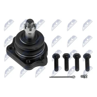 Afbeelding van Fuseekogel NTY ZSG NS 000