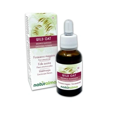 Afbeelding van Wild oat of Ruwe dravik (Bromus ramosus) Naturalma Bachbloesems Druppels 30 ml alcoholvrij vloeibaar extract Bloesemessences Veganistisch en