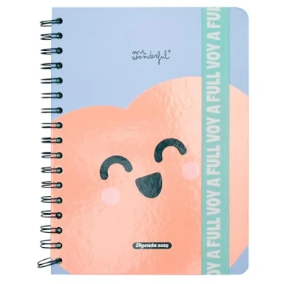 Afbeelding van Mr. Wonderful Wonder agenda 2025, weekoverzicht, met 8 stickers en notitieblok in vormen, Engels opschrift