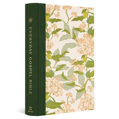 Afbeelding van ESV Everyday Gospel Bible, Artist Series