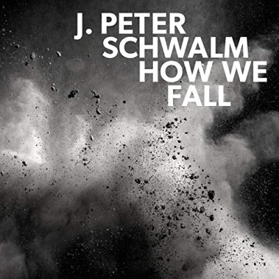Afbeelding van J. Peter Schwalm How We Fall