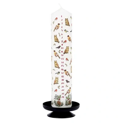Afbeelding van Alison Gardiner Adventskaars Winter Vogels 4,5 cm x 25,5 Pillar Candle