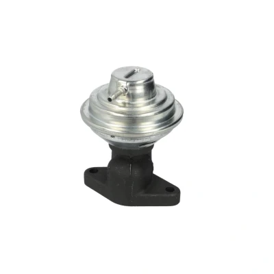 Afbeelding van Pierburg EGR klep 7.28069.03.0