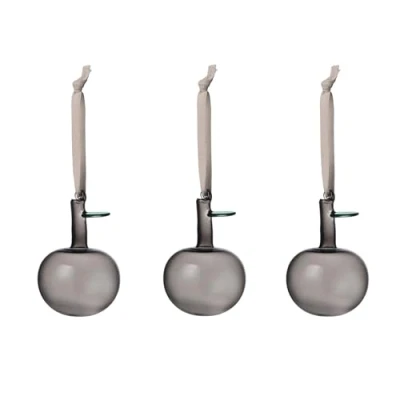 Afbeelding van Iittala Glazen appel hanger set van 3 Grijs