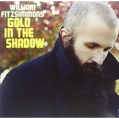 Afbeelding van Gold In The Shadow (LP+Cd)
