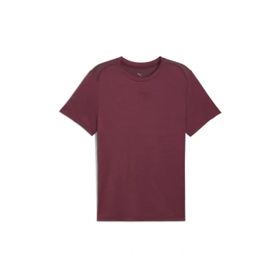 Afbeelding van Puma Cloudspun Tshirt basic, Heren, Maat: XXL, Ruby shimmer heather