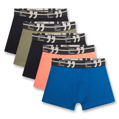 Afbeelding van Sanetta Boxershorts Set van 5