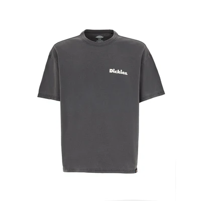 Afbeelding van Dickies Slayden TEE Tshirt print, Heren, Maat: XS, Black