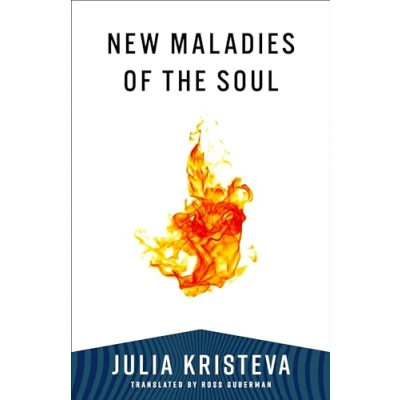 Afbeelding van European Perspectives: A Series in Social Thought and Cultural Criticism New Maladies of the Soul