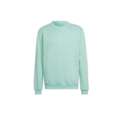 Afbeelding van adidas Performance Entrada Sweater, Heren, Maat: Small, Turquoise