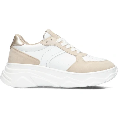 Afbeelding van Hip LAGE Sneakers laag voor kinderen, Maat: 32, Beige combi Schoenen