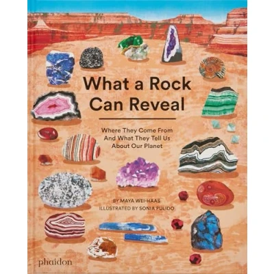 Afbeelding van What a Rock Can Reveal: Where They Come From And Tell Us About Our Planet