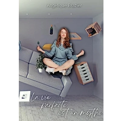 Afbeelding van La vie parfaite est un mythe