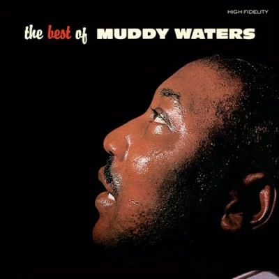 Afbeelding van Muddy Waters The Best of (LP)