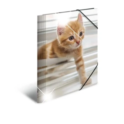 Afbeelding van 3x Elastomappen glossy dieren A4 PP katten