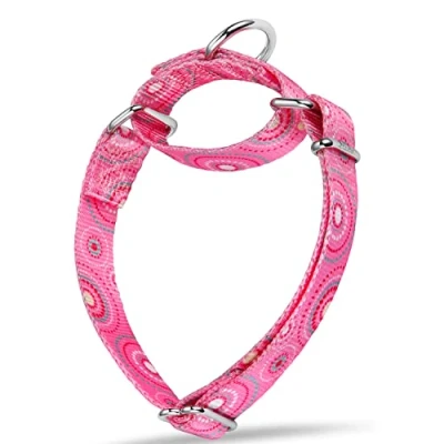 Afbeelding van Dazzber Martingale halsband voor honden, zachte verstelbare halsband, duurzame D ring grote, middelgrote en kleine honden (groot, grafietgrijs zonnebloem)