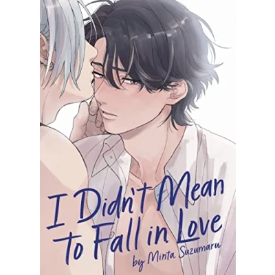 Afbeelding van I Didn&#039;t Mean to Fall in Love