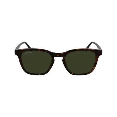 Afbeelding van LACOSTE L6040S 214 HAVANA 51/20/145 Man Zonnebrillen