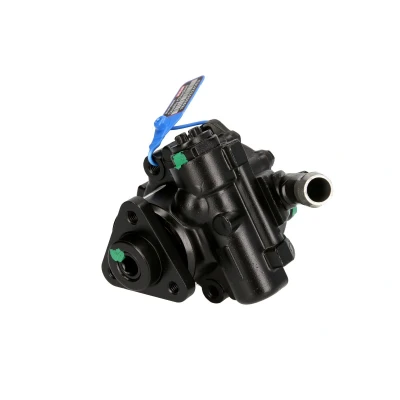 Afbeelding van Lauber Servopomp 55.6103