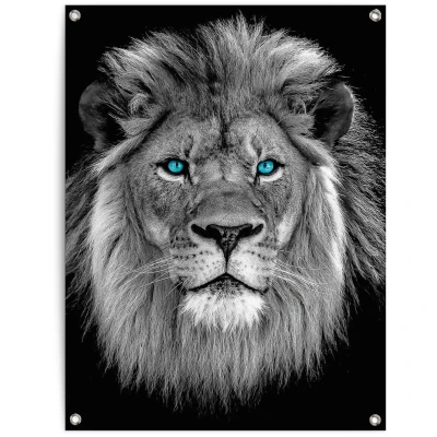 Afbeelding van Reinders! Poster Leeuw met blauwe ogen