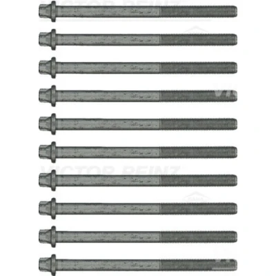 Afbeelding van Reinz Cilinderkopbout / Cilinderkopboutenset 14 32102 01