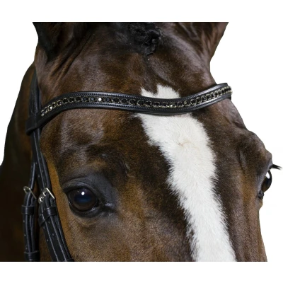 Afbeelding van Trust frontriem black diamants