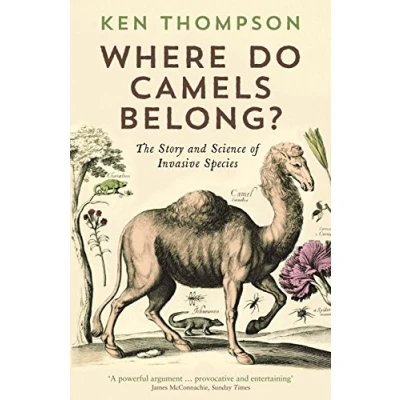 Afbeelding van Where Do Camels Belong