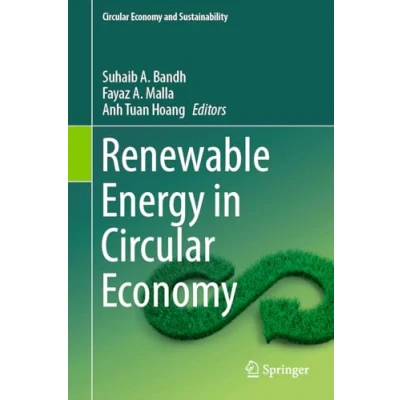 Afbeelding van Renewable Energy in Circular Economy