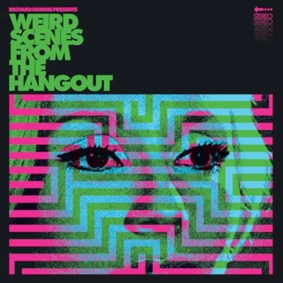 Afbeelding van V/A Weird Scenes From the Hangout (2 LPs)