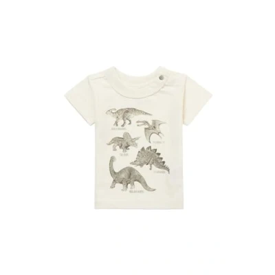 Afbeelding van Noppies Jongen T shirt Momence Pristine 50