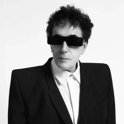 Afbeelding van Peter Perrett The Cleansing (2 LPs)