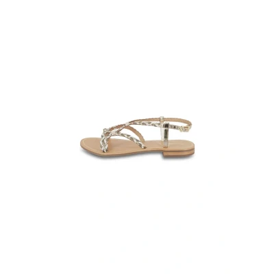 Afbeelding van LES TROPEZIENNES C330894DIAH Wit 38 EU