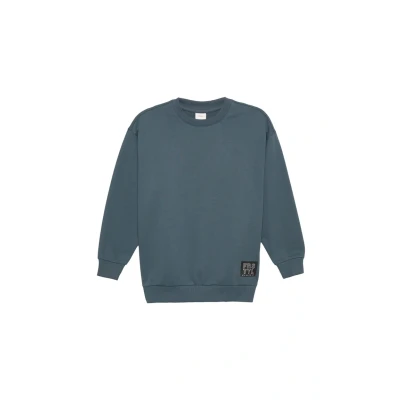 Afbeelding van s.Oliver MIT BÜNDCHEN UND Logopatch Sweater voor kinderen, Maat: 170/176, Schiefergrau