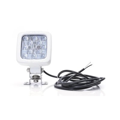 Afbeelding van Werklamp WAS 695 W82