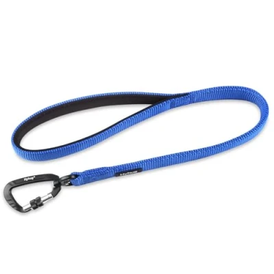 Afbeelding van Lichtgewicht haakgesp van aluminiumlegering, hoogwaardig verbeterd verkeer, duurzaam nylon 24 inch korte riem, met zachte neopreen voering handvat, professionele training (61 lang, helderblauw)