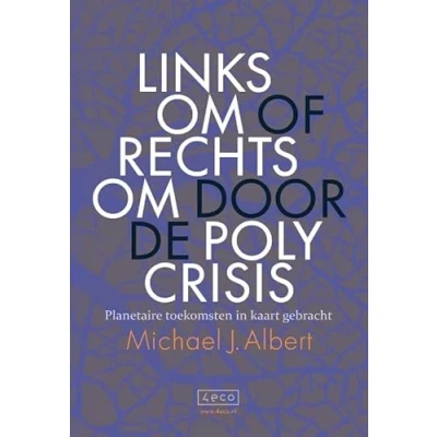 Afbeelding van Linksom of rechtsom door de polycrisis