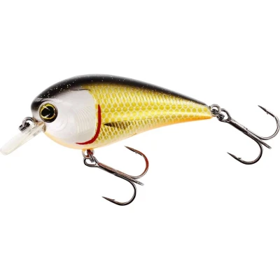 Afbeelding van Westin Bassbite 2.5 Squarebill 7cm 16g Floating Kleur : Official Roach