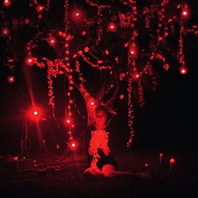Afbeelding van Sophie Hunger Danger of Light (3 LPs)
