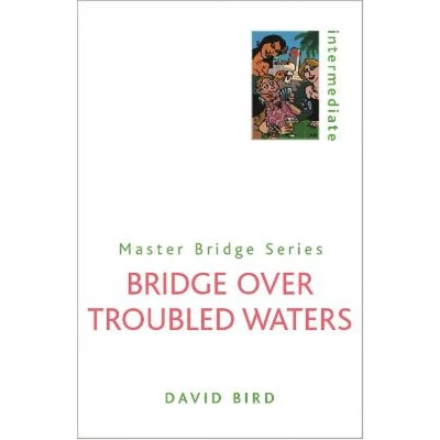 Afbeelding van Bridge Over Troubled Waters