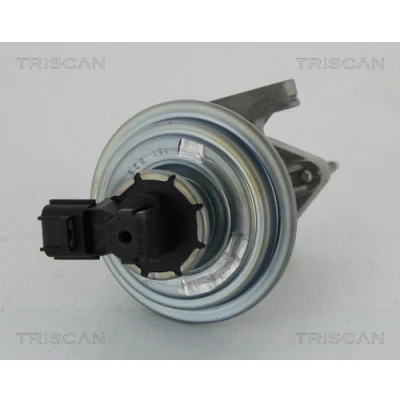 Afbeelding van Triscan EGR klep 8813 16045