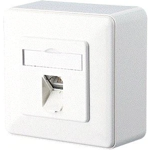 Afbeelding van RIA BTR E Dat C6 8(8) AP RW aansluitdoos wit