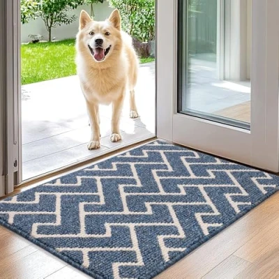 Afbeelding van Biscpro Deurmatten voor Binnen, 50x80cm, Antislip Achterkant,Vuilvangmat,Absorberende Deurmat Ingang, Keuken, Voordeur, Huisdieren en Tuin (Blau)