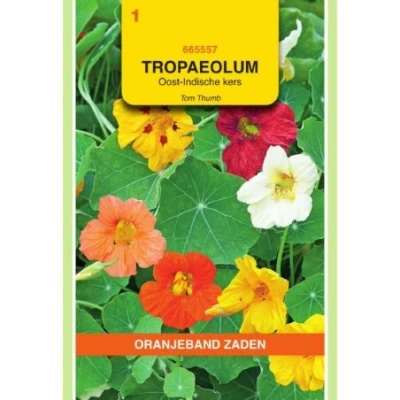 Afbeelding van Tropaeolum oost indische kers tom thumb enkelbloemig gemengd