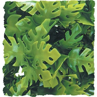 Afbeelding van Zoomed Naturalistic flora Amazonian phyllo Large terrariumplant