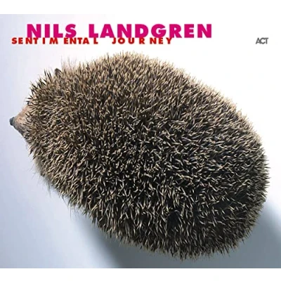 Afbeelding van Sentimental Journey