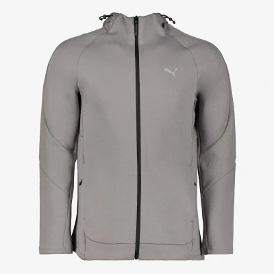 Afbeelding van Puma Evostripe Fullzip Sweater met rits, Heren, Maat: XXL, Cast iron