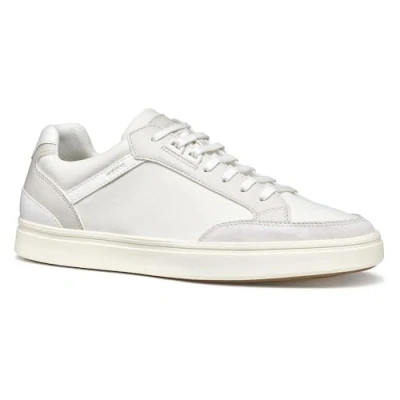 Afbeelding van Geox Baltmoore Sneakers laag, Heren, Maat: 40, White/off white Leer en textiel