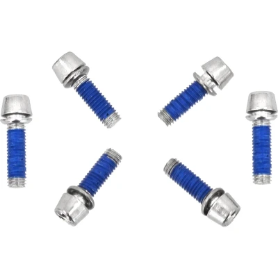 Afbeelding van Ritchey Stuurpen RVS Bouten Set WCS C 220 Zilver