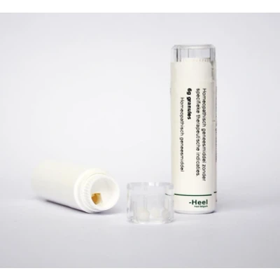 Afbeelding van Homeoden Heel Apis Mellifica D6, 6 gram