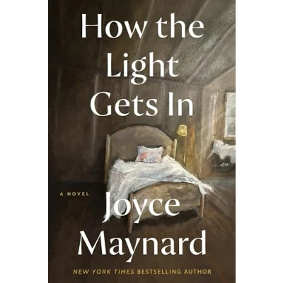 Afbeelding van How the Light Gets In: A Novel